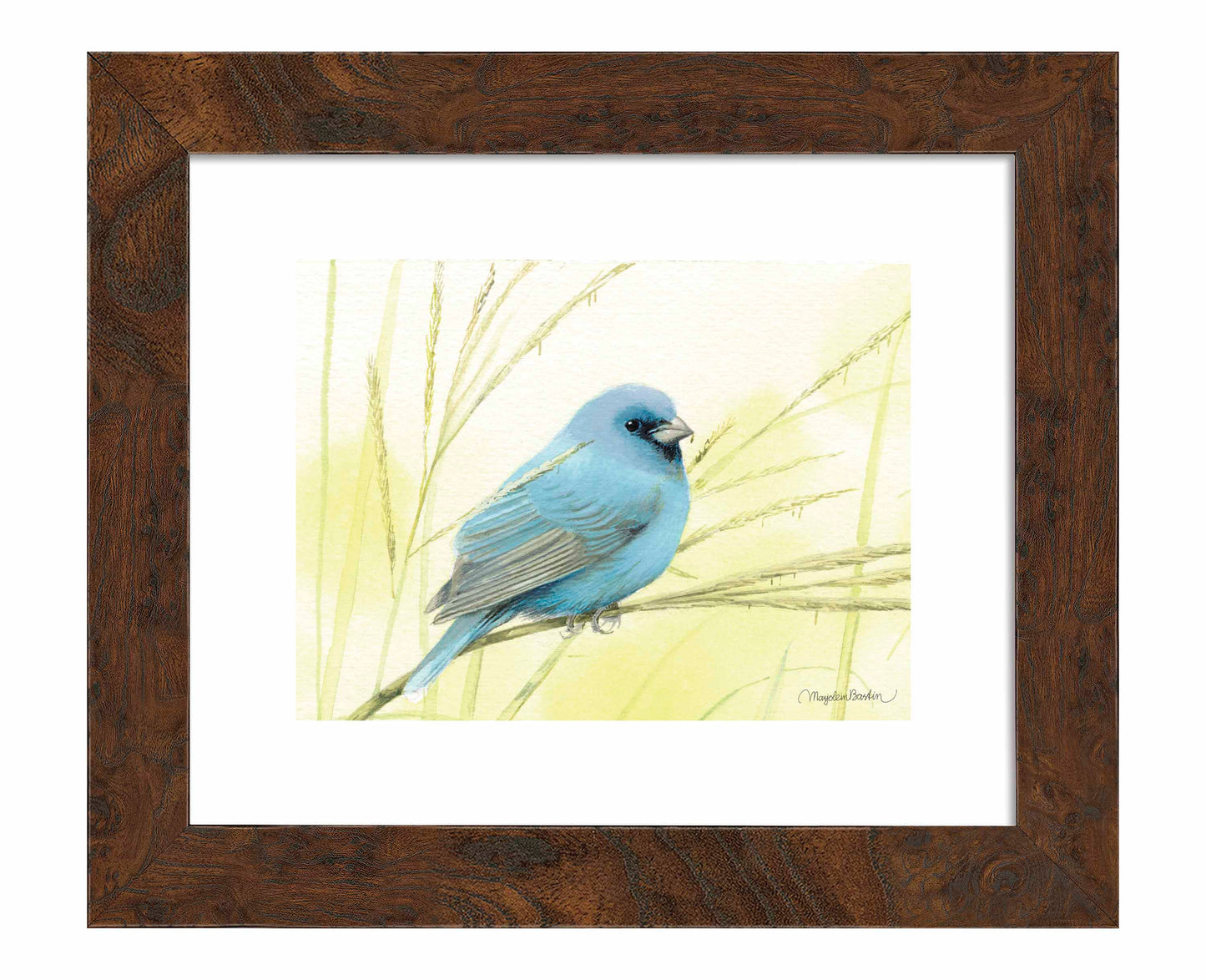Searching for Seeds - Art Prints