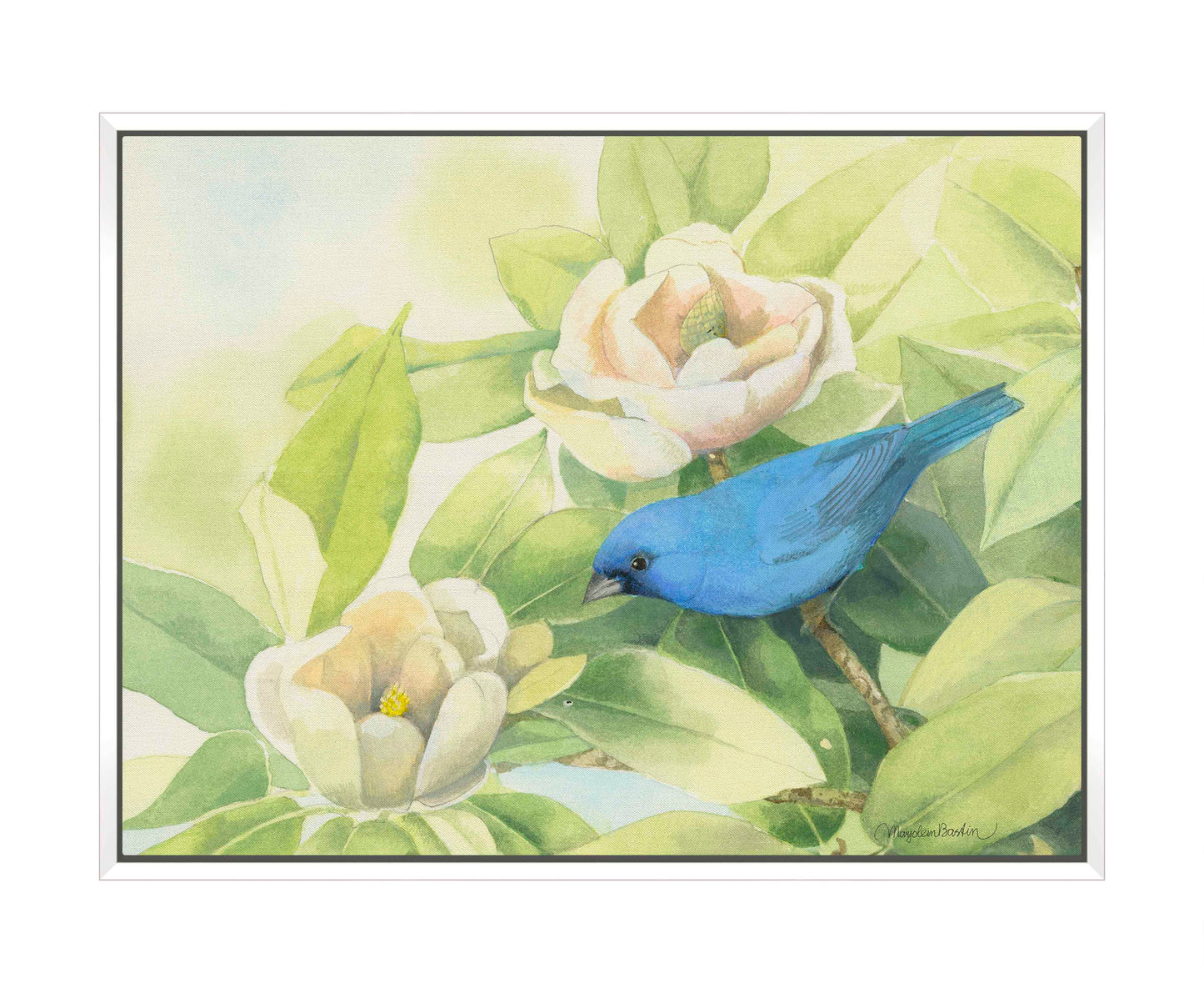 Magnolia Surprise - Gallery Wrapped Canvas