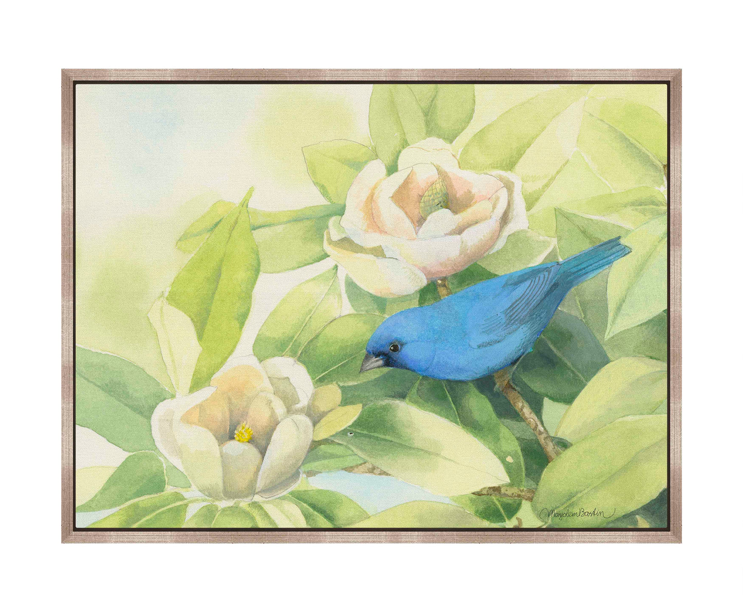Magnolia Surprise - Gallery Wrapped Canvas