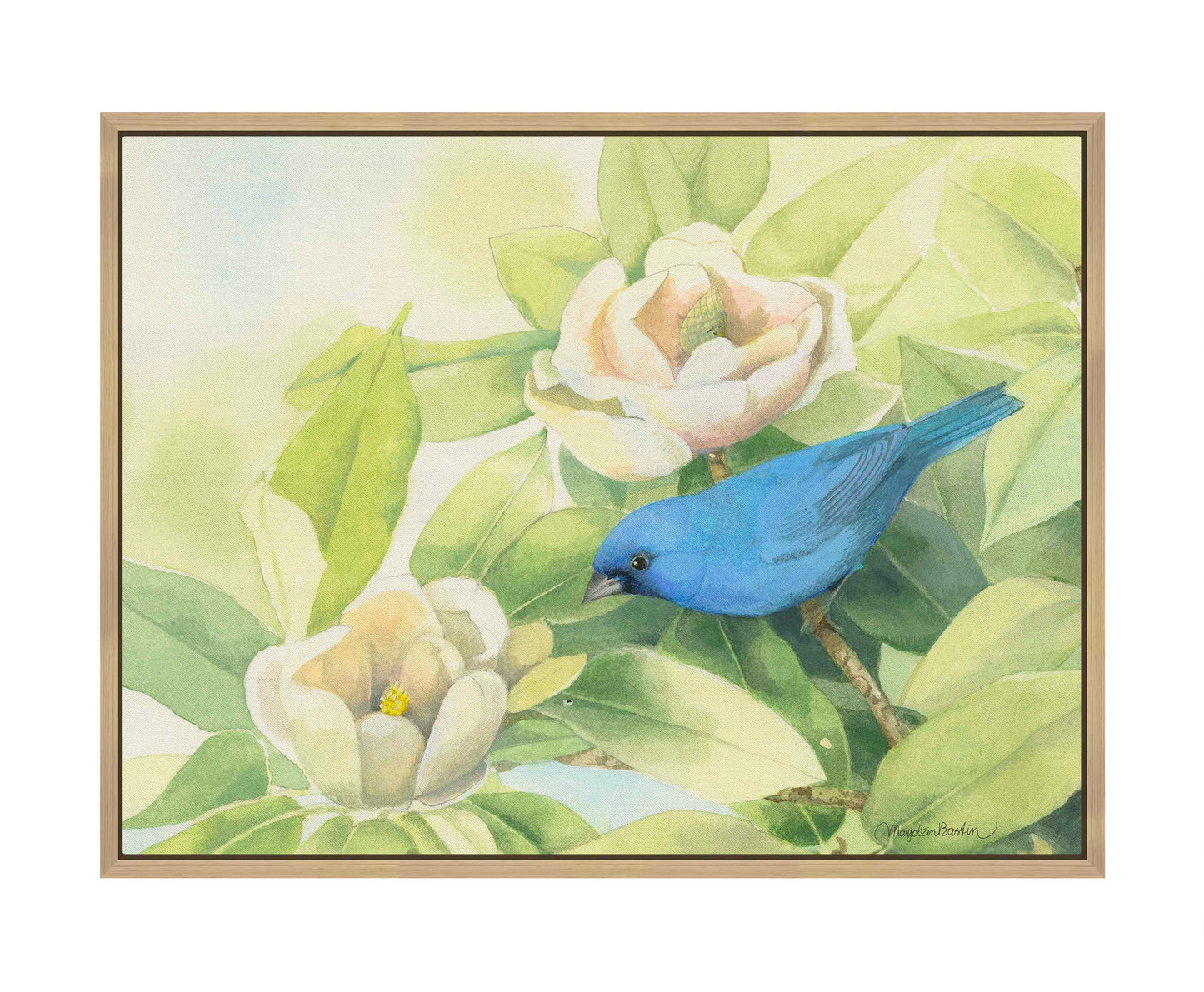 Magnolia Surprise - Gallery Wrapped Canvas