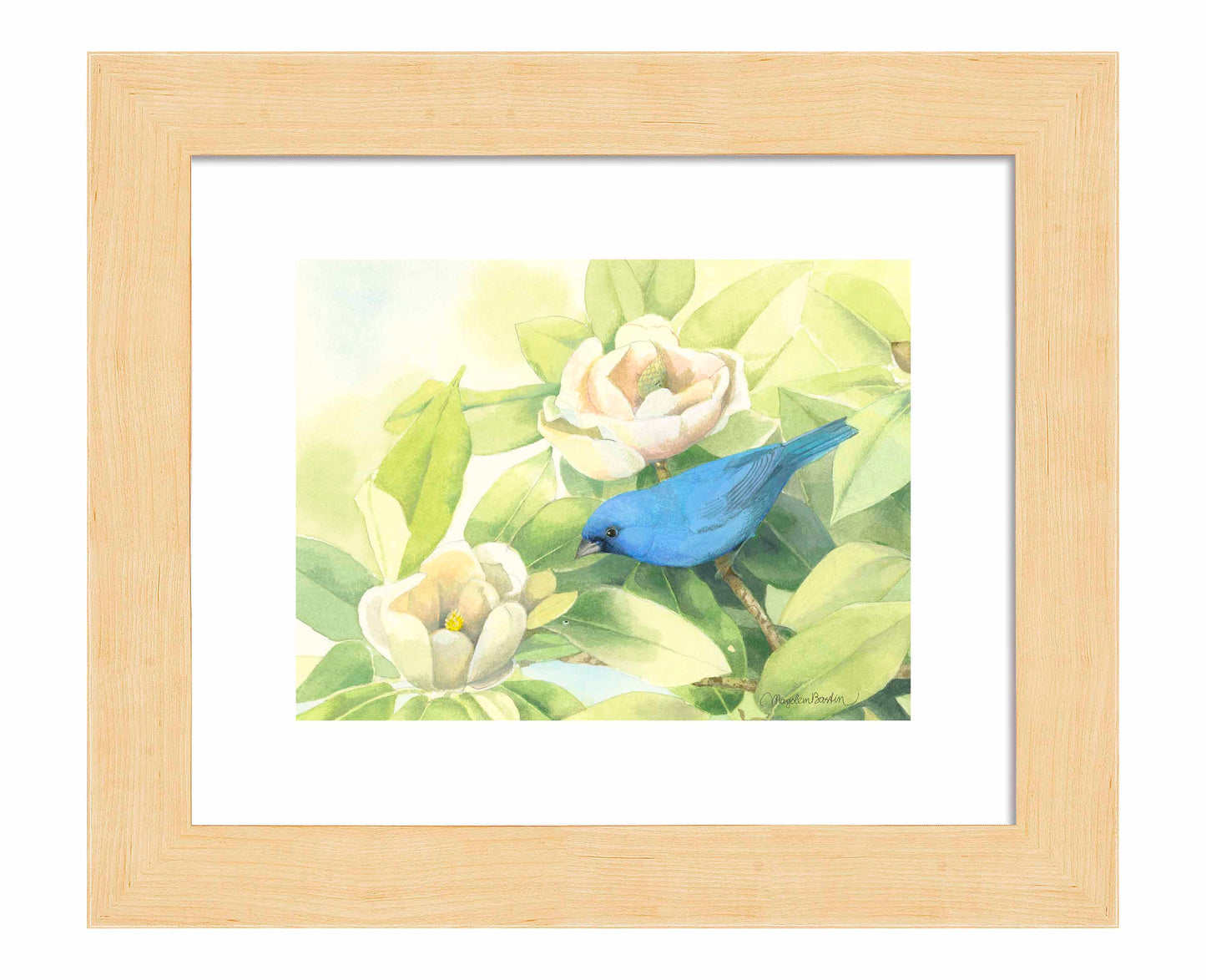 Magnolia Surprise - Art Prints