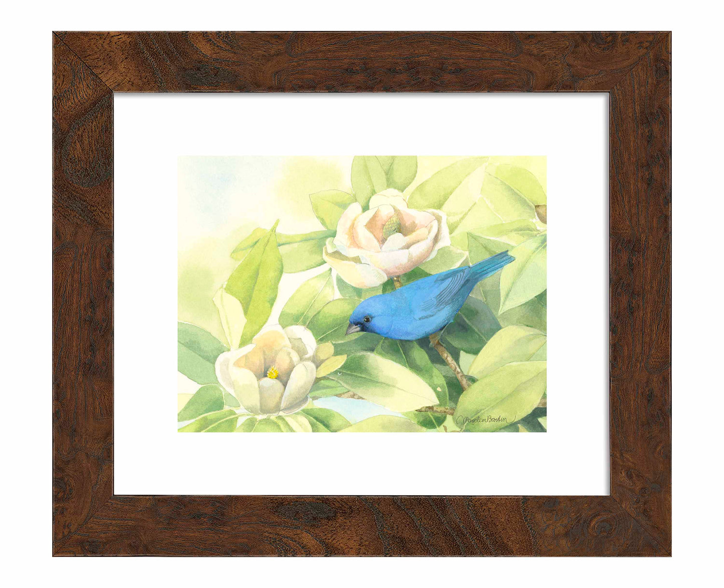 Magnolia Surprise - Art Prints