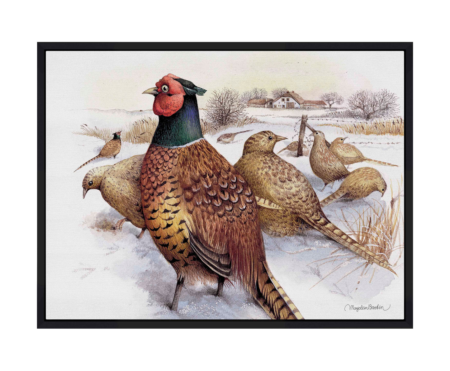 Pheasants in Snow - Gallery Wrapped Canvas