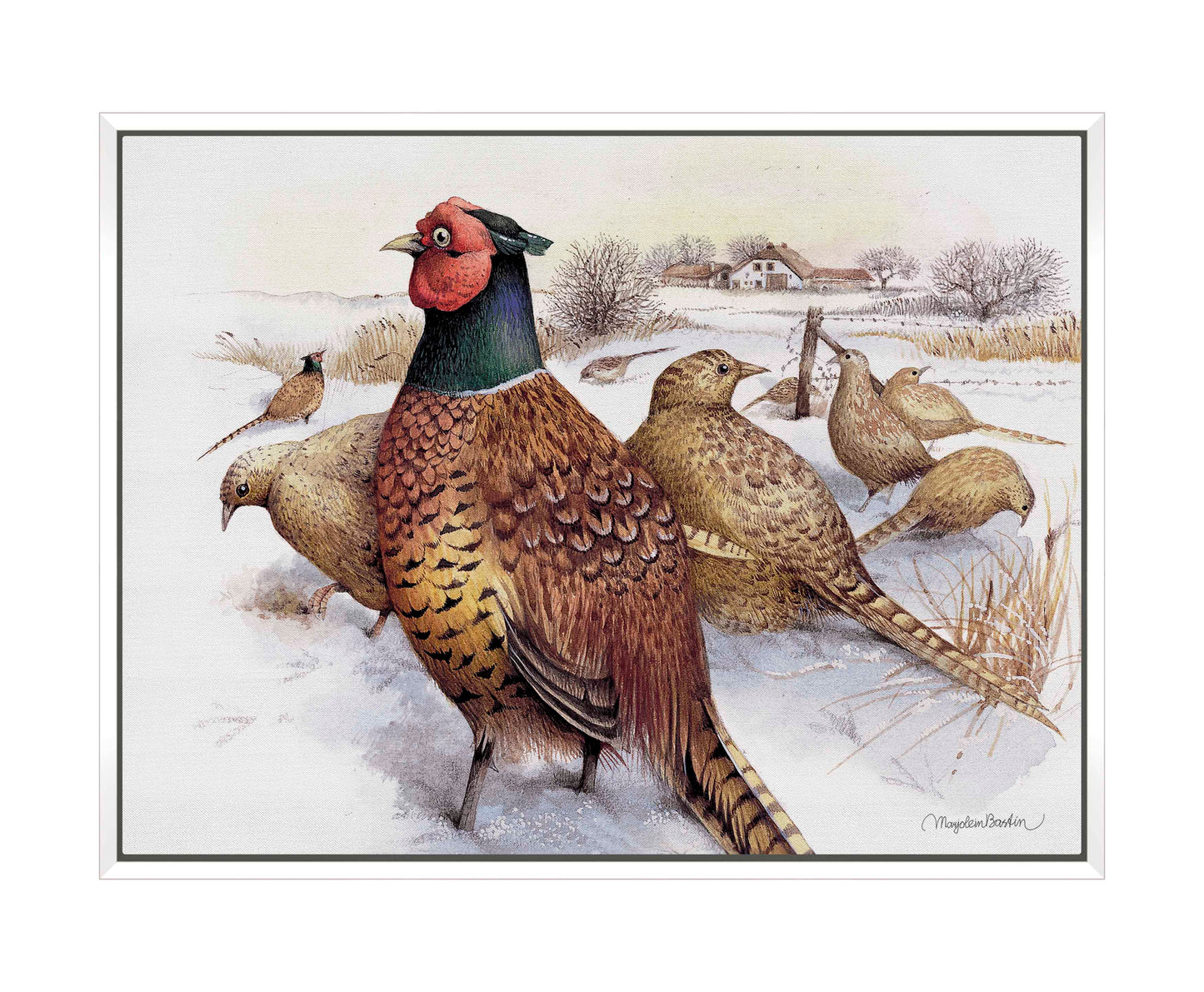 Pheasants in Snow - Gallery Wrapped Canvas