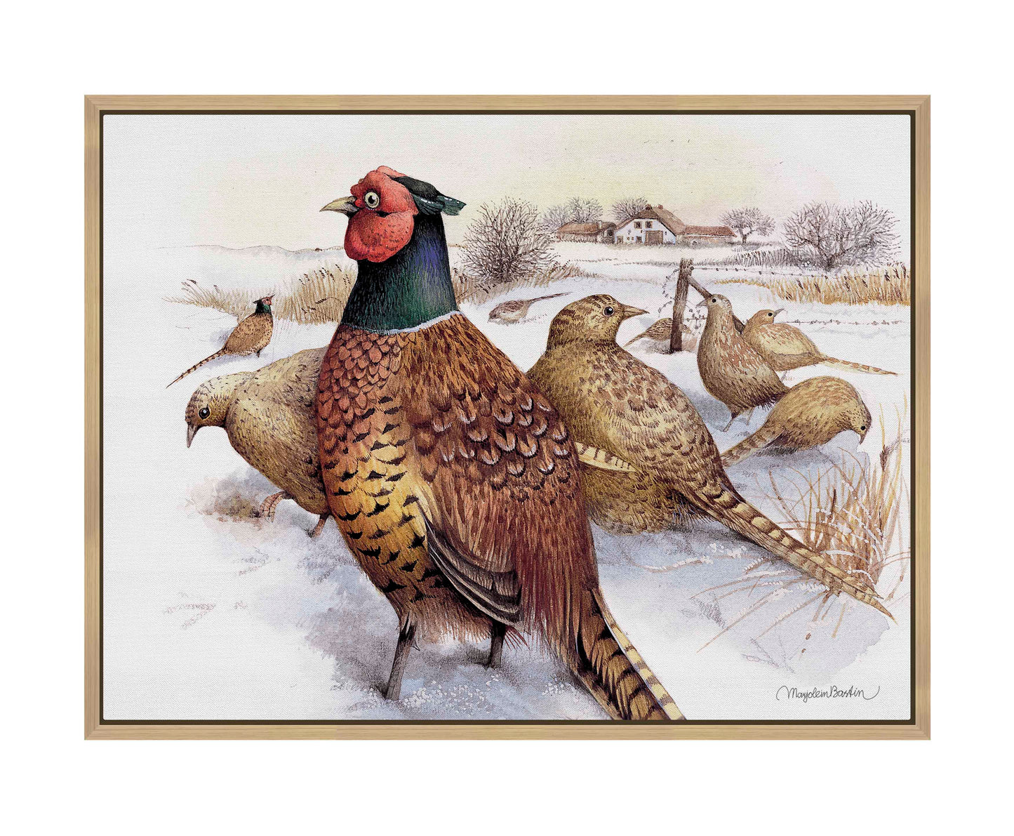 Pheasants in Snow - Gallery Wrapped Canvas
