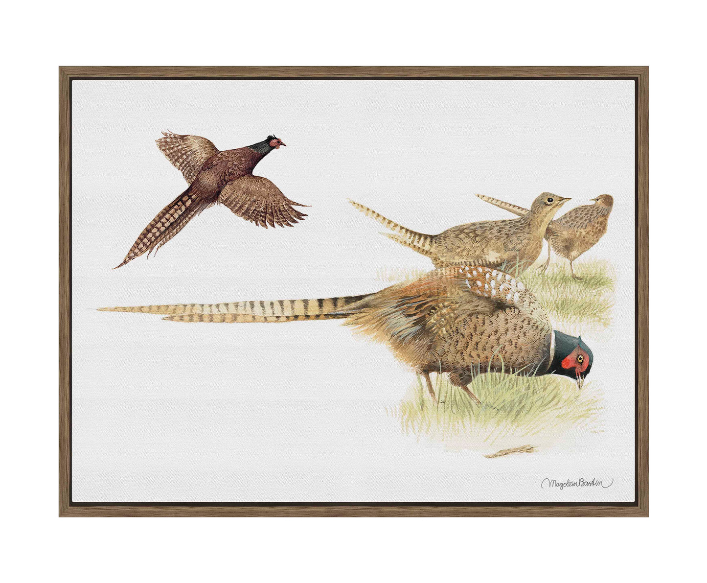 Loudly Foraging - Gallery Wrapped Canvas