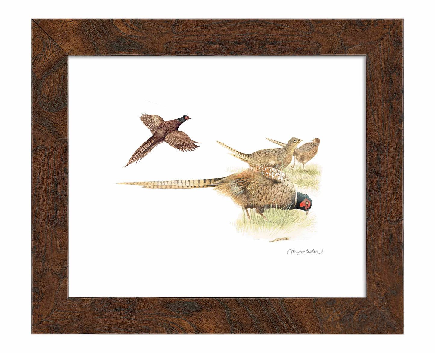 Loudly Foraging - Art Prints