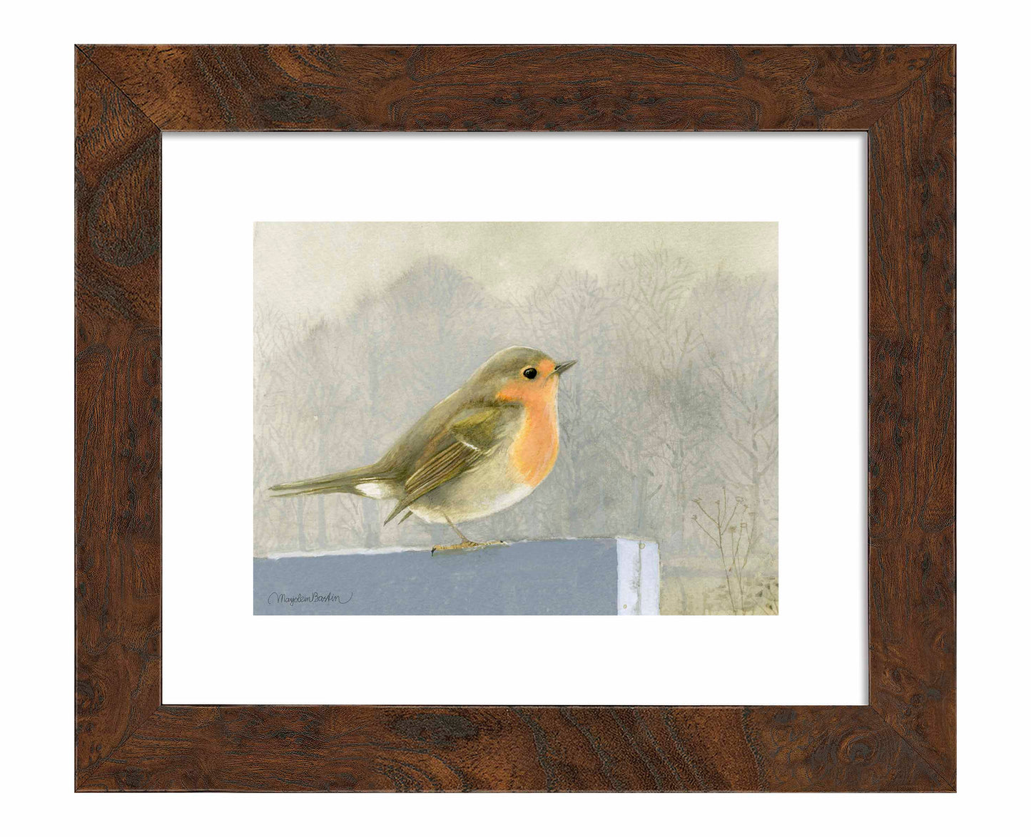 Quiet Reflection - Art Prints