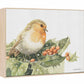 Holly Robin - Gallery Wrapped Canvas
