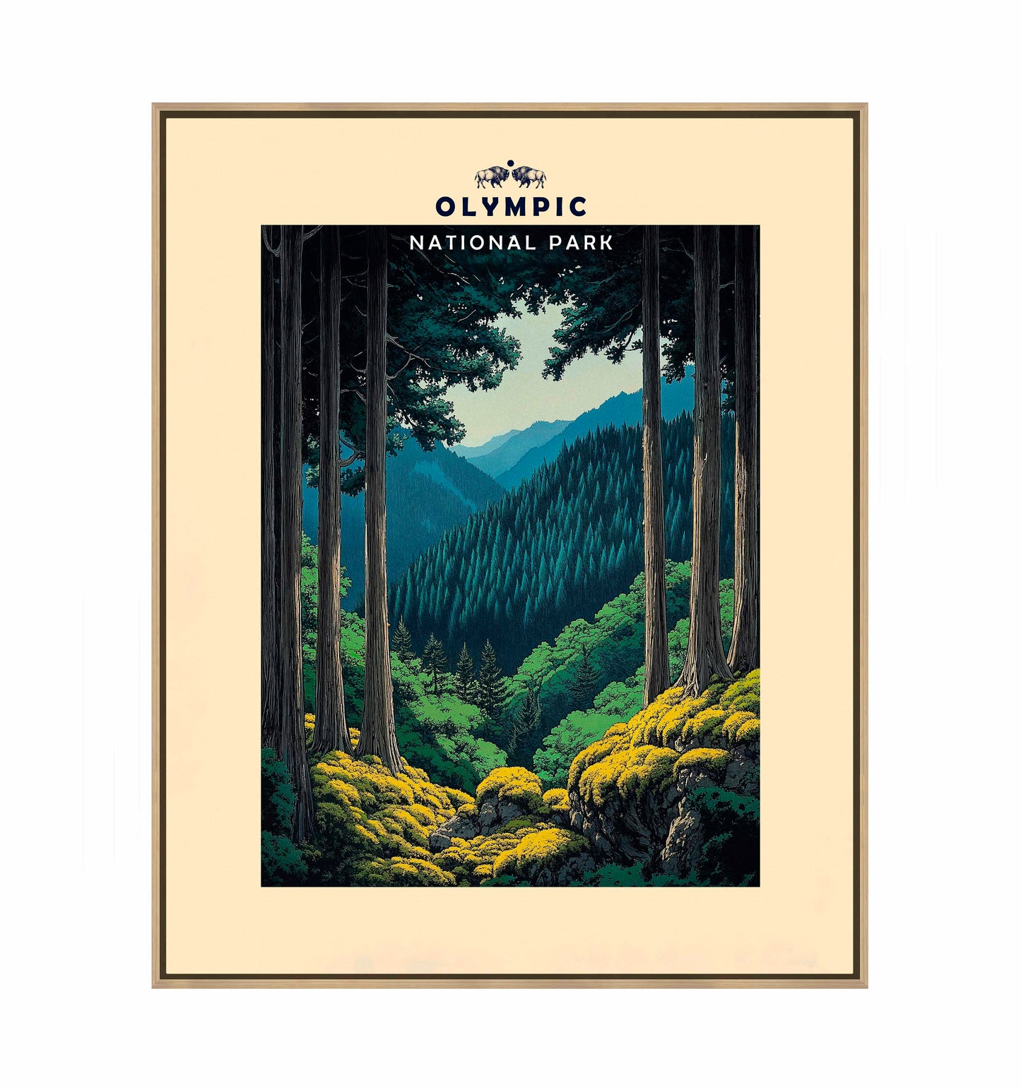 Olympic - Gallery Wrapped Canvas