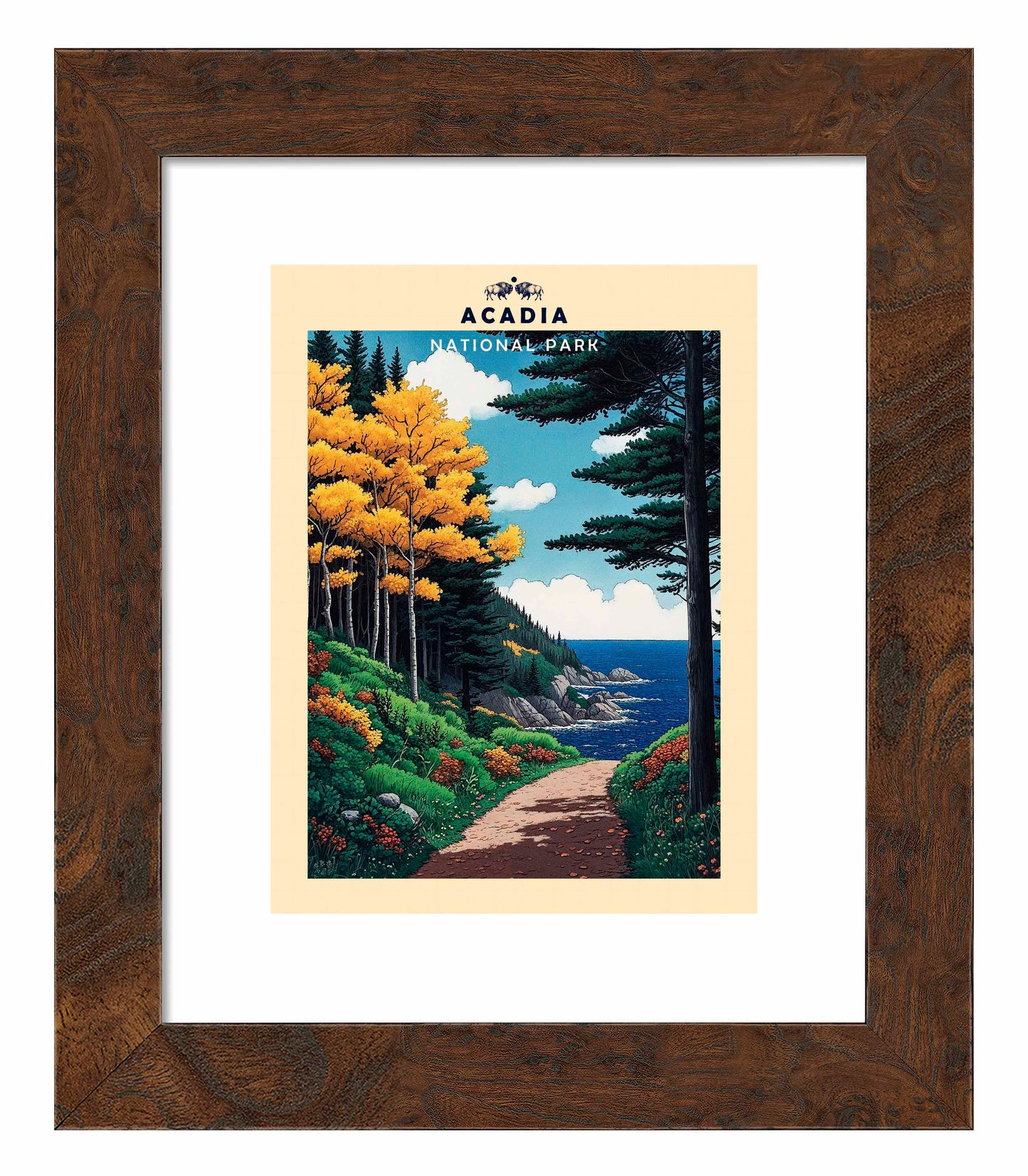 Acadia - Art Prints