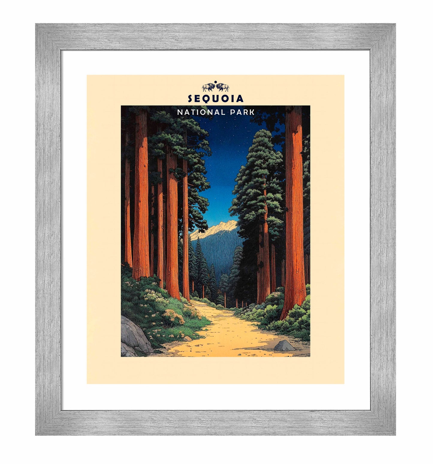 Sequoia - Art Prints