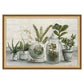 191032AA000_CristalPlants_1.jpg