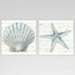 191036EC000_OceanTreasuresIandII_1.jpg