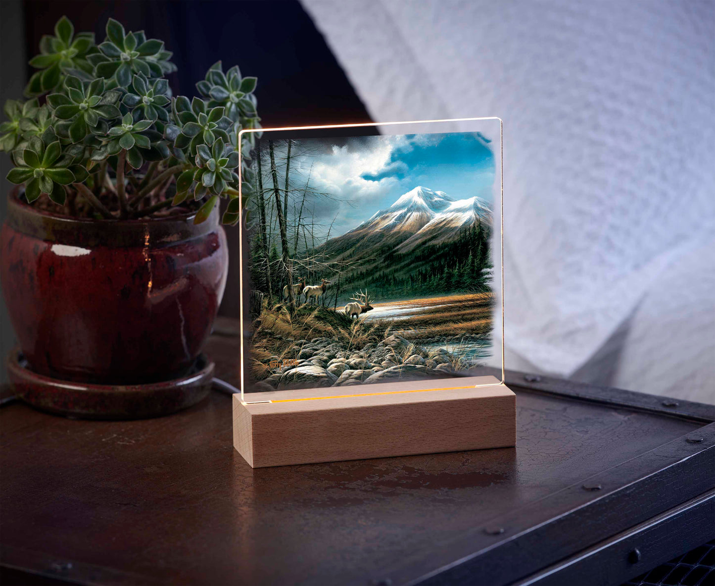 Master's Domain - Acrylic Night Light