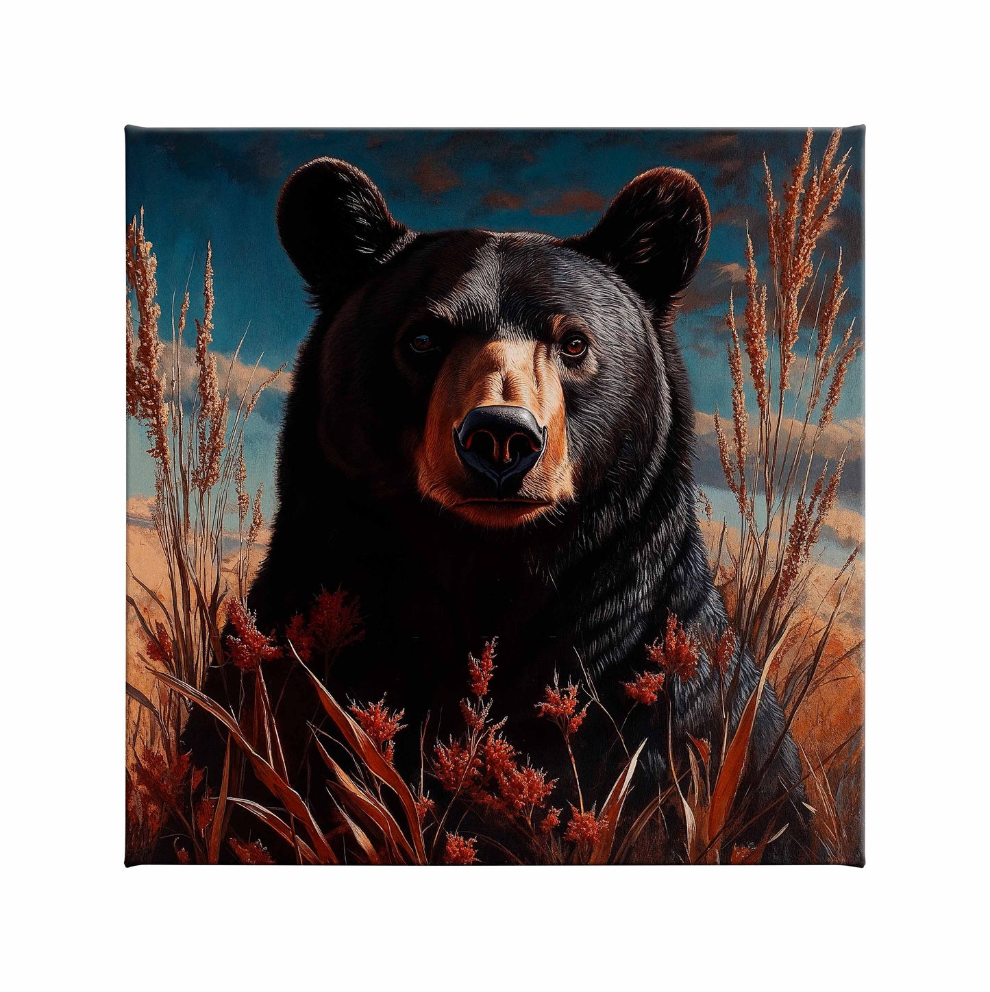 A portrait of a black bear