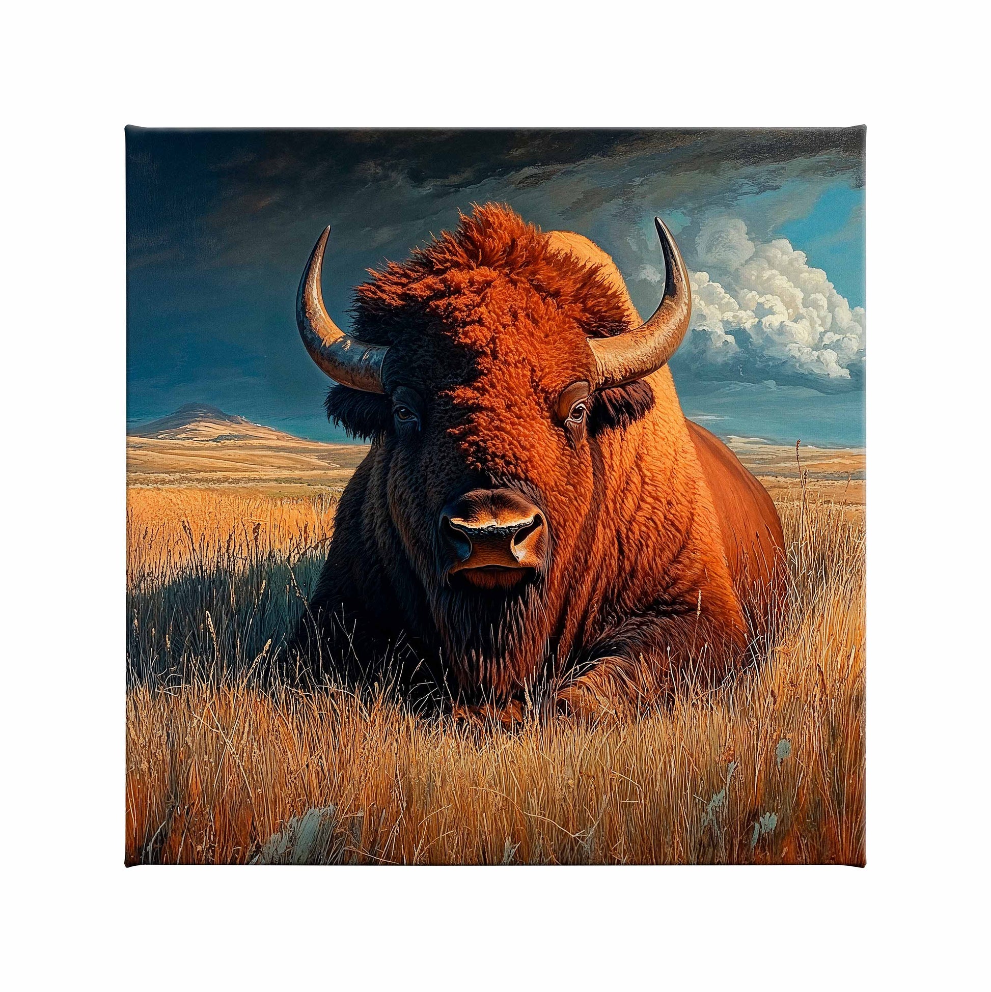 A portrait of a cow