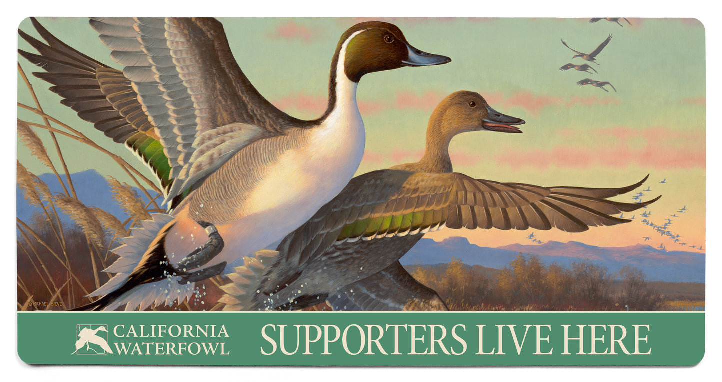 Pintail Ducks - 2' x 4' Floor Mat