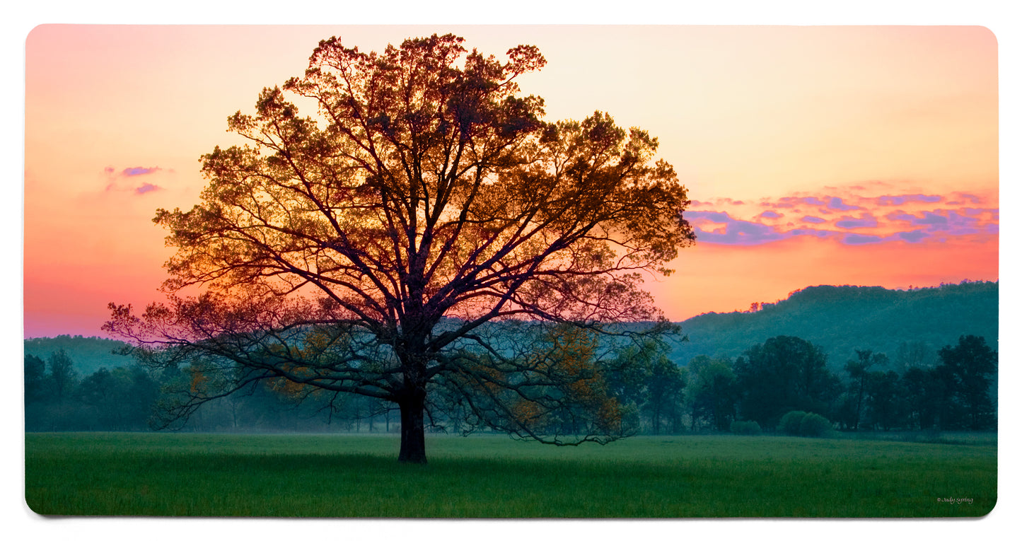 Twilight Tree - 2' x 4' Floor Mat