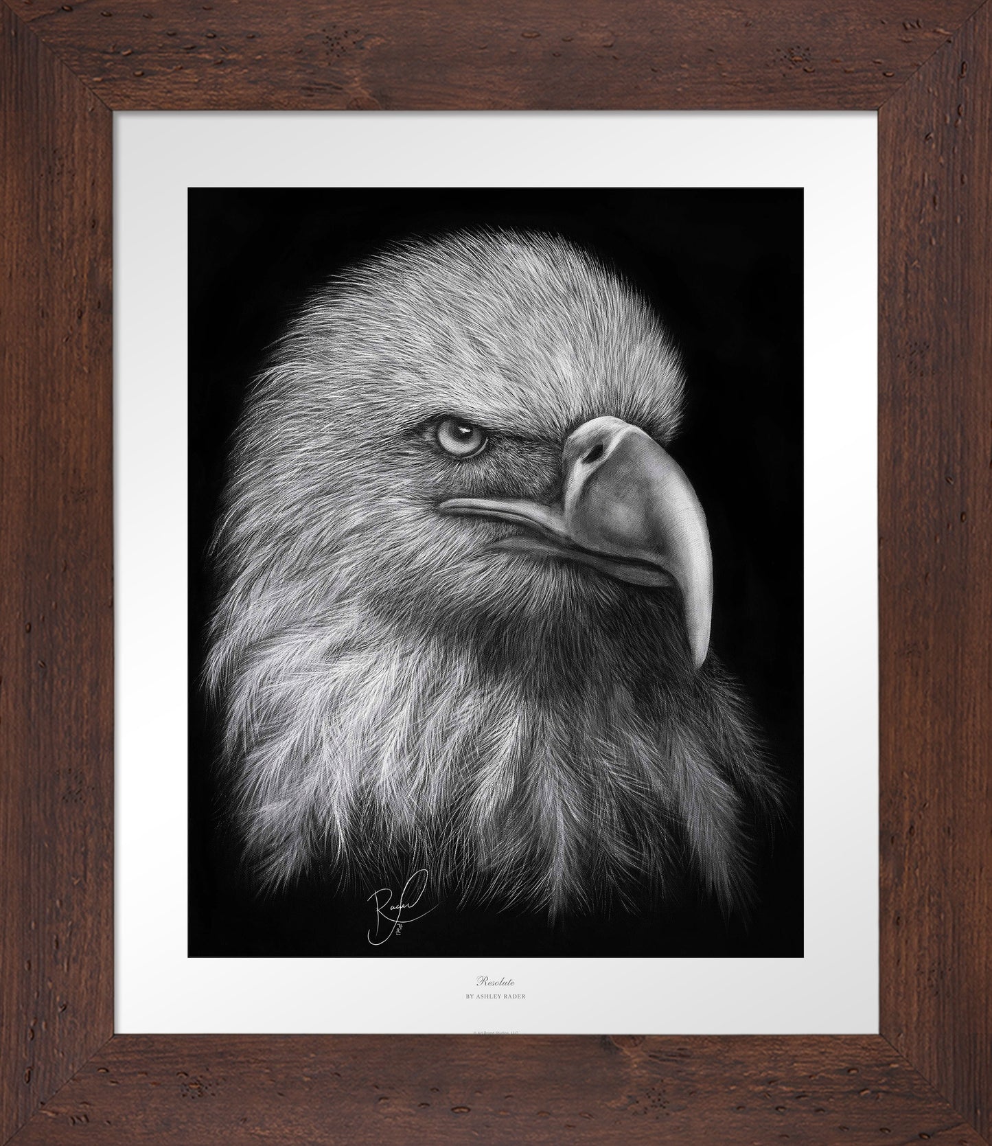 Resolute - Master Artisan Paper