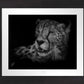 Cheetah - Master Artisan Paper