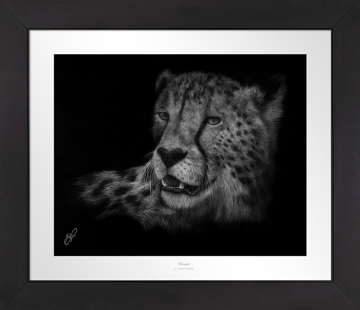 Cheetah - Master Artisan Paper