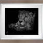 Cheetah - Master Artisan Paper
