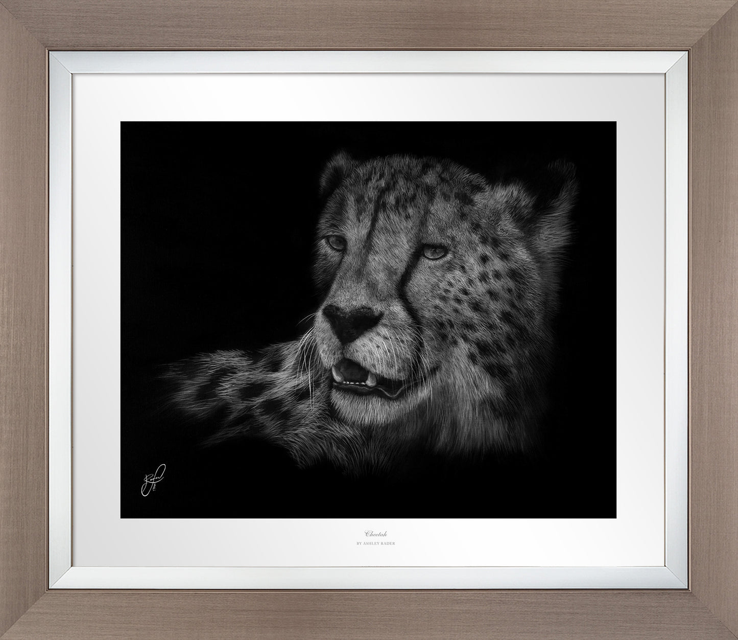 Cheetah - Master Artisan Paper