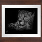 Cheetah - Master Artisan Paper