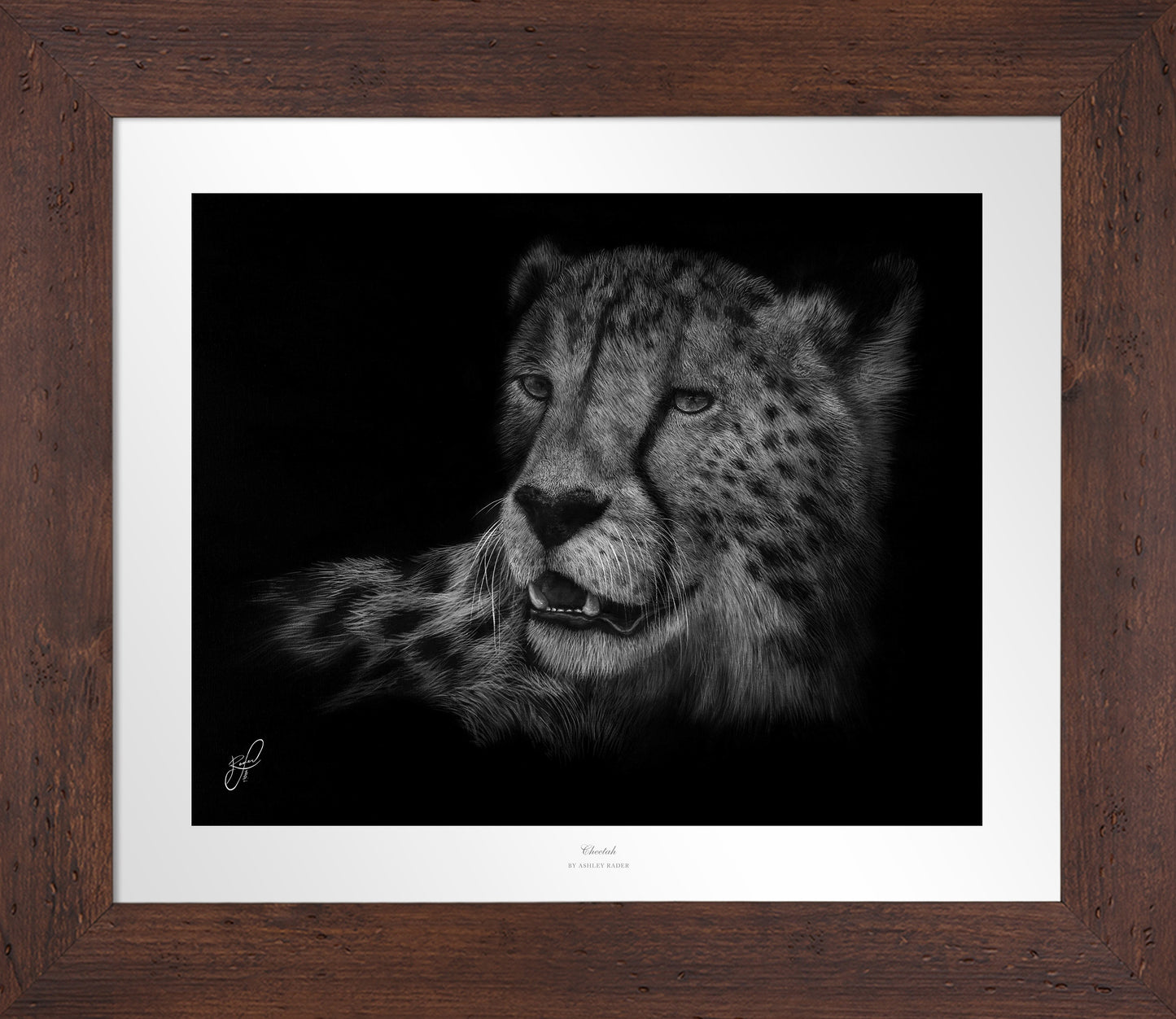 Cheetah - Master Artisan Paper