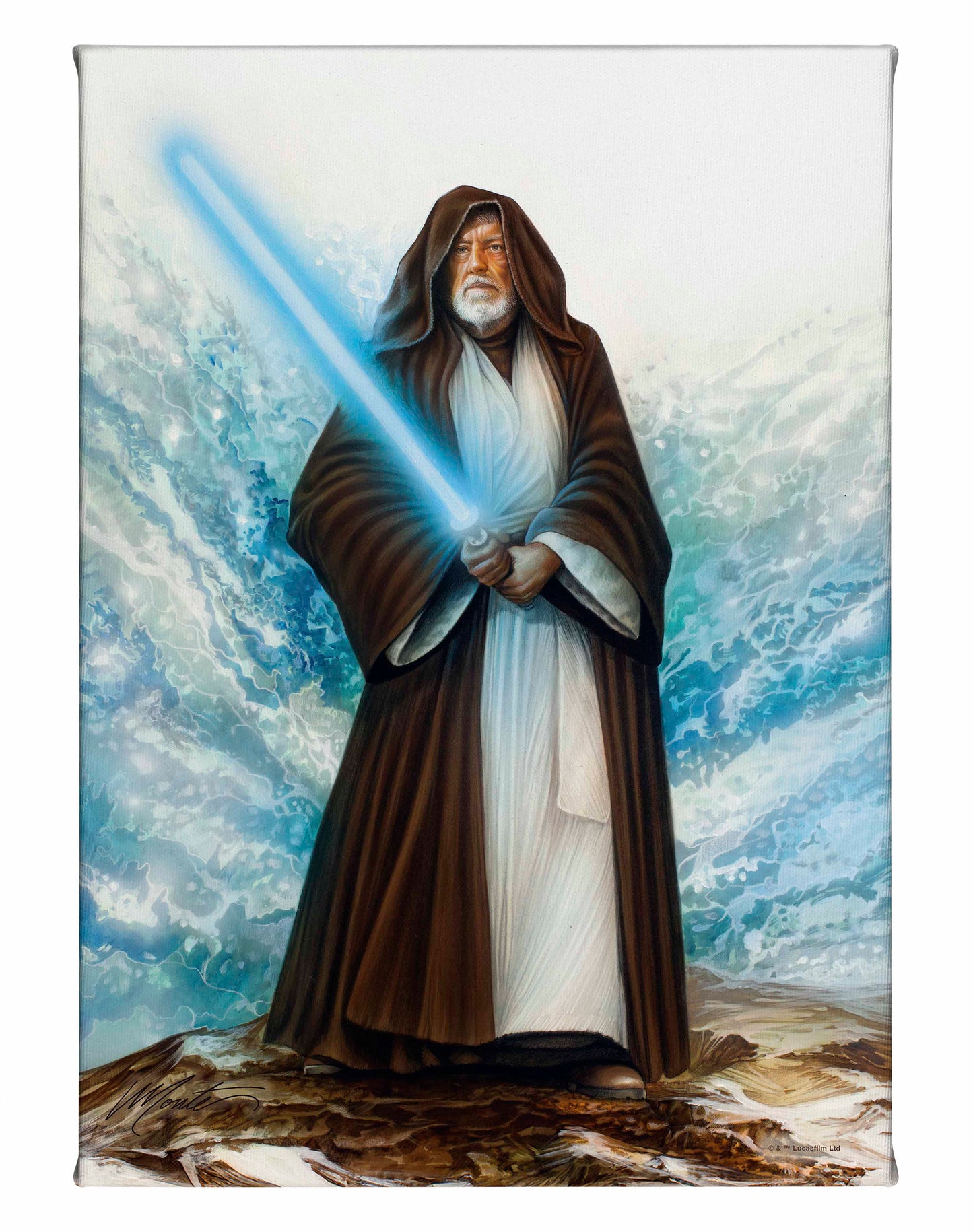 The Jedi Master - 10" x 14" Gallery Wrapped Canvas