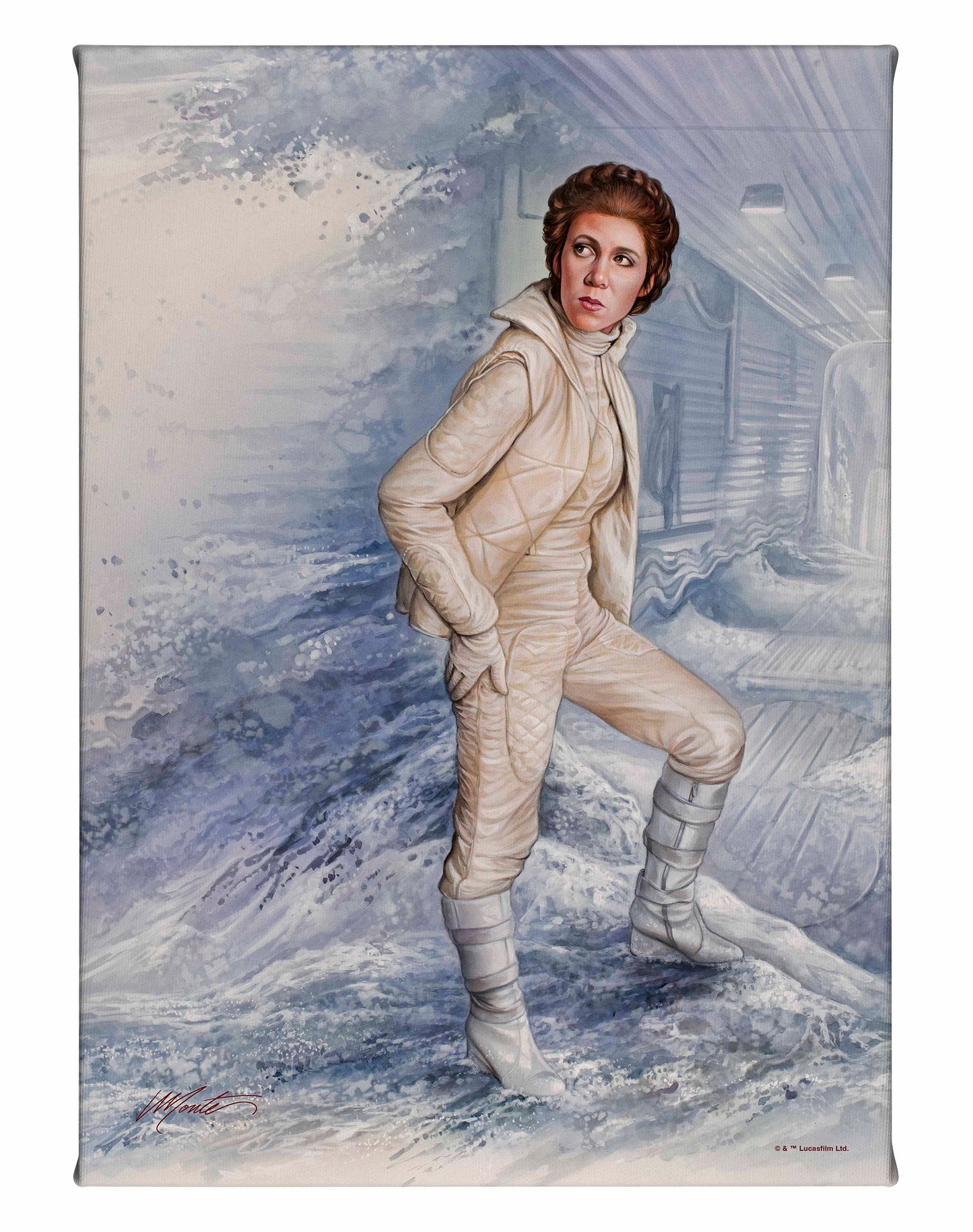 Leia Organa - 10" x 14" Gallery Wrapped Canvas