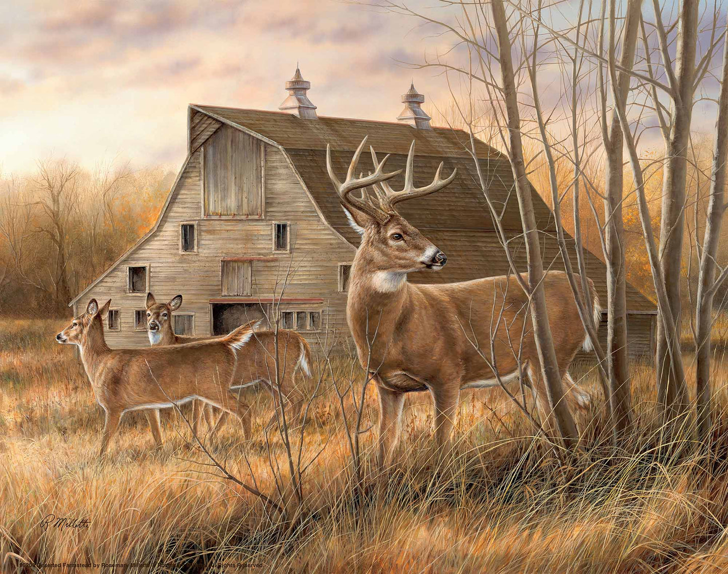 Deserted Farmstead - Art Prints