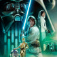 The Rebels Path - Limited Edition Canvas
