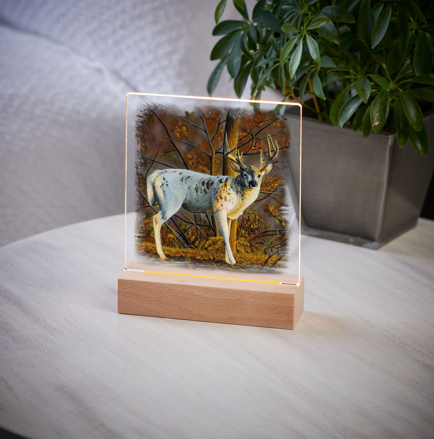 Last Light - Acrylic Night Light