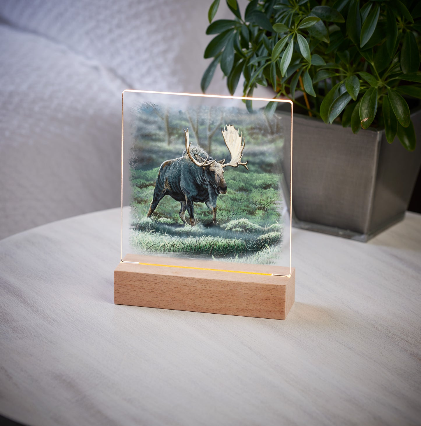 Midnight Forage - Acrylic Night Light