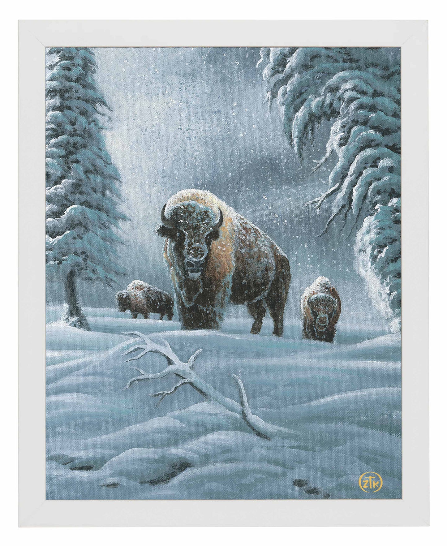 Bison in the Snow - Art Prints