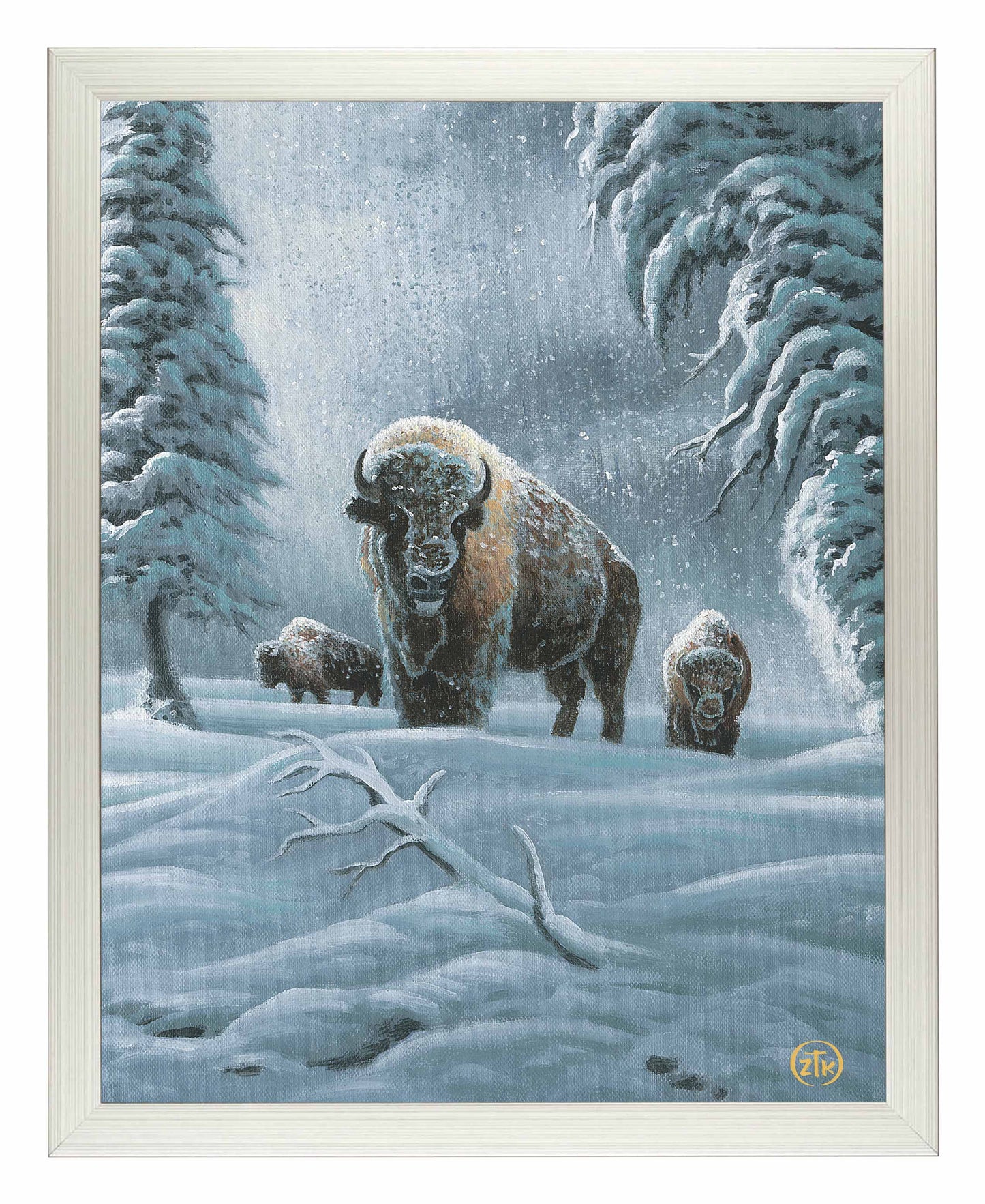 Bison in the Snow - Art Prints