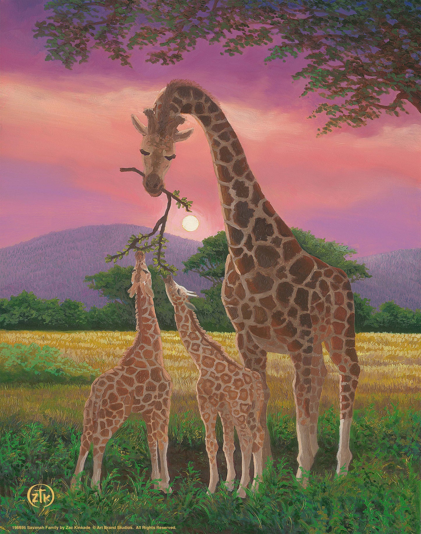 Savanah Family - Art Prints
