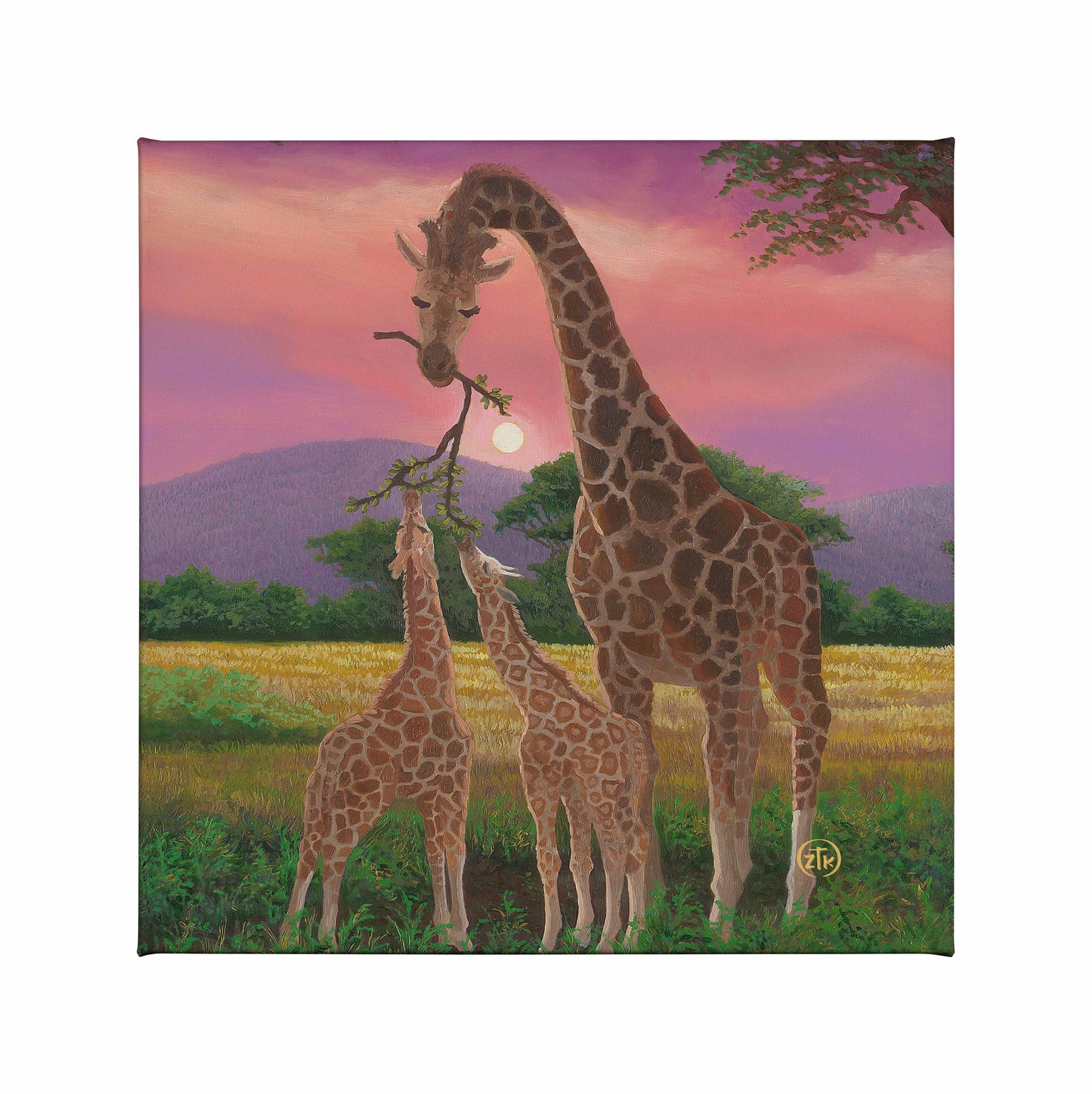 Savanah Family - 14" x 14" Gallery Wrapped Canvas