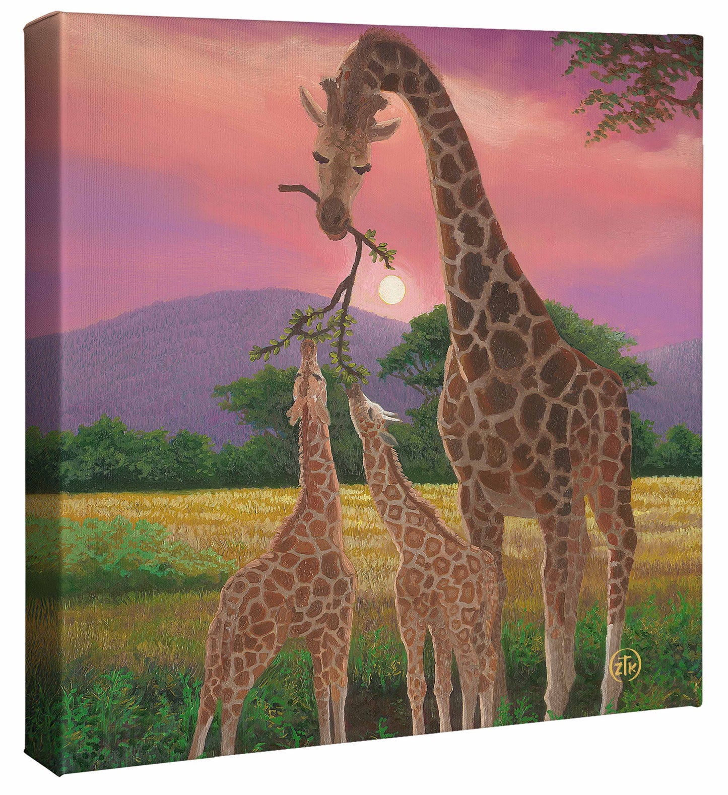 Savanah Family - 14" x 14" Gallery Wrapped Canvas