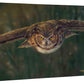 Aerial Intensity - 13" x 18" Gallery Wrapped Canvas