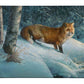 Cautious Roamer - 13" x 18" Gallery Wrapped Canvas
