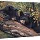 Mom’s Awaiting - 13" x 18" Gallery Wrapped Canvas