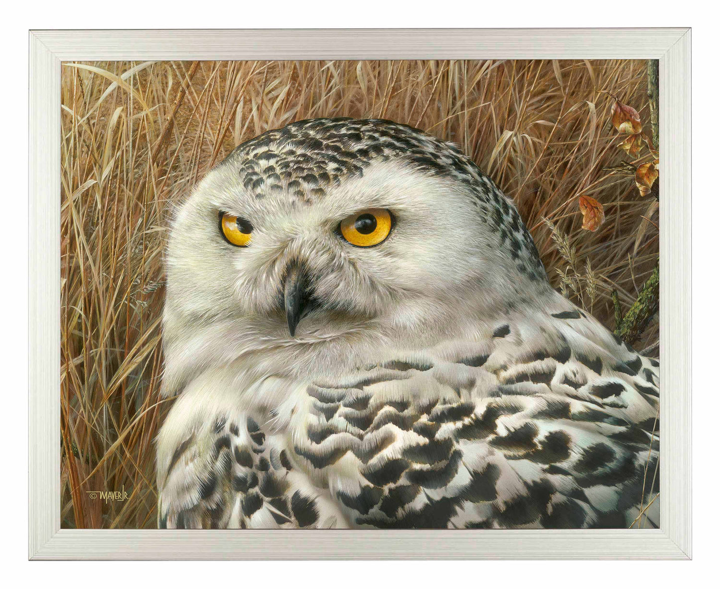 Optical Surveillance - Art Prints