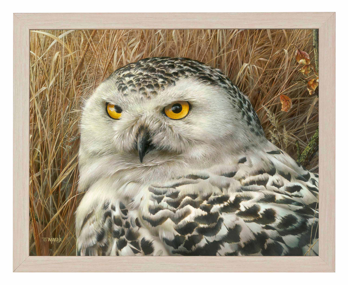 Optical Surveillance - Art Prints