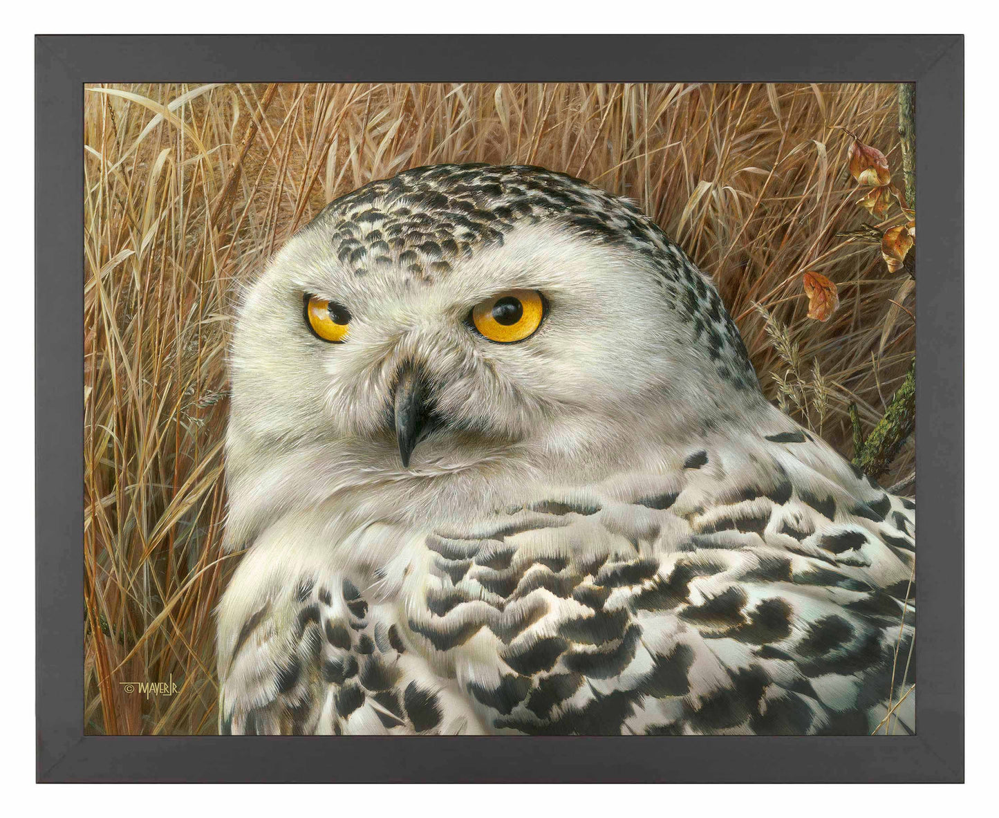 Optical Surveillance - Art Prints