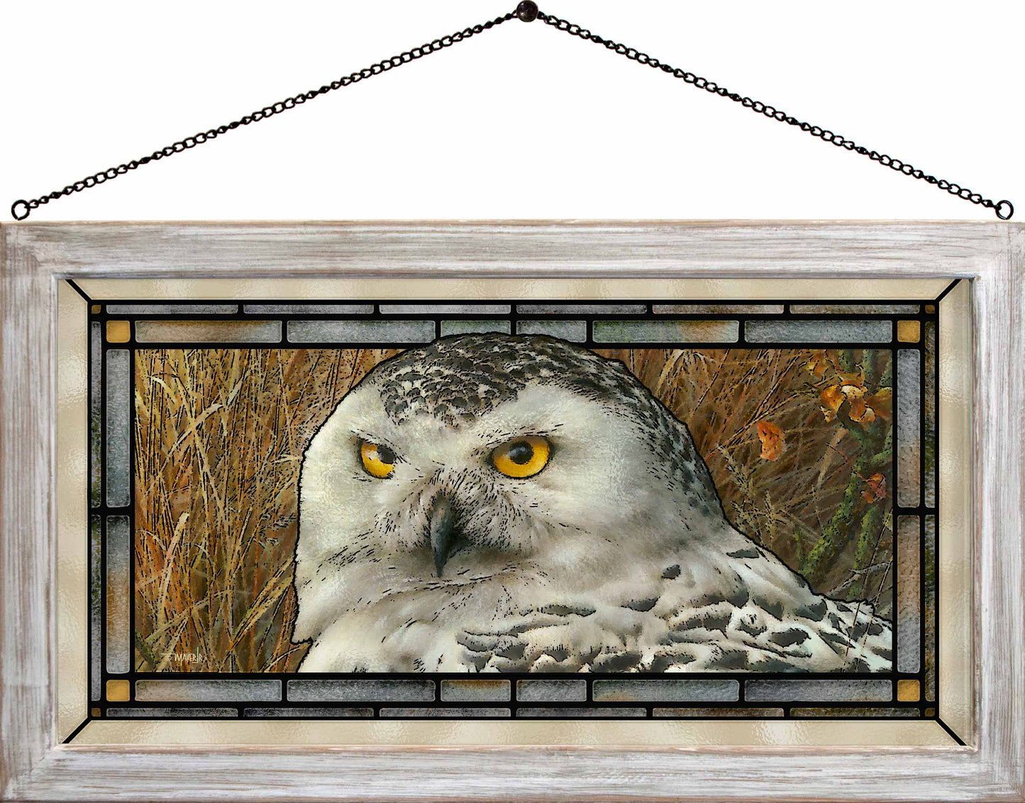 Optical Surveillance - Stained Glass Art