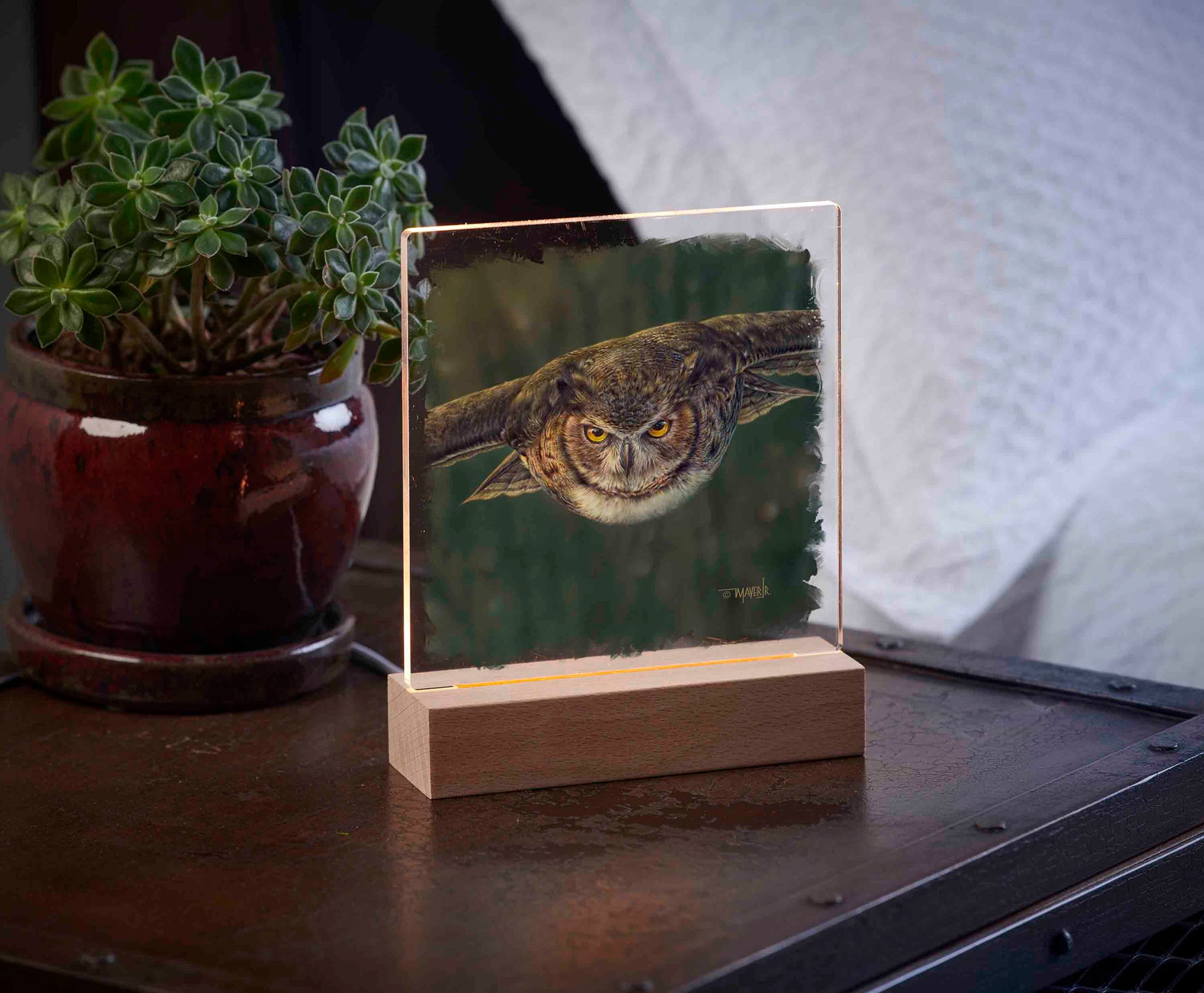 Acrylic night light with an owl