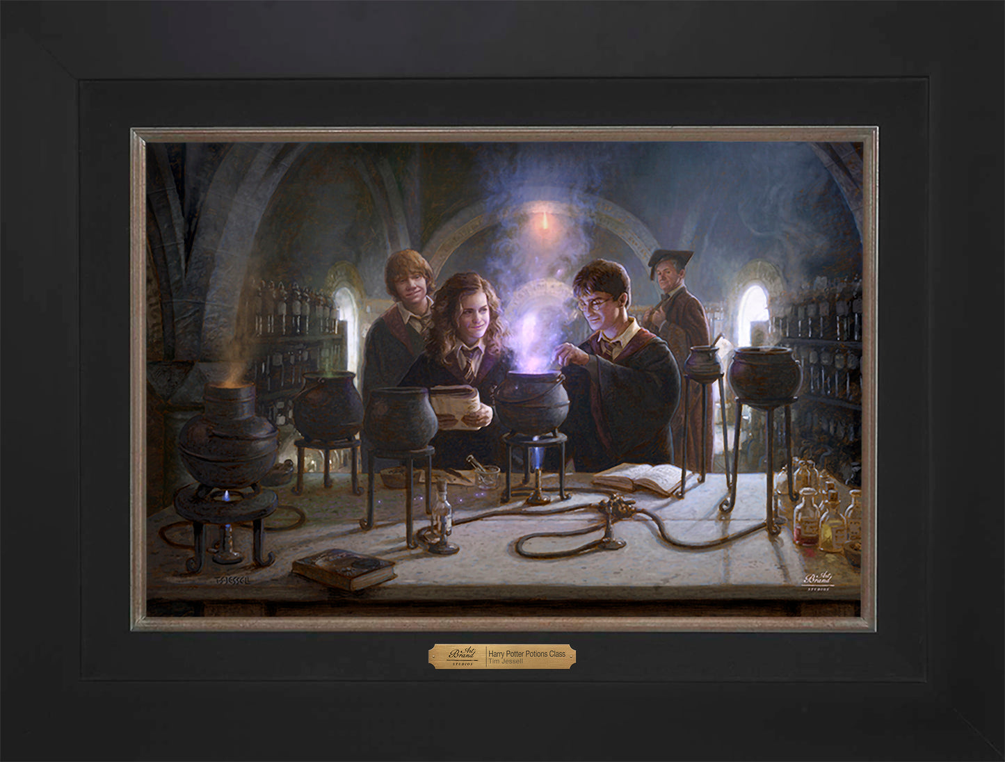 Harry Potter™ Potions Class - Limited Edition Canvas
